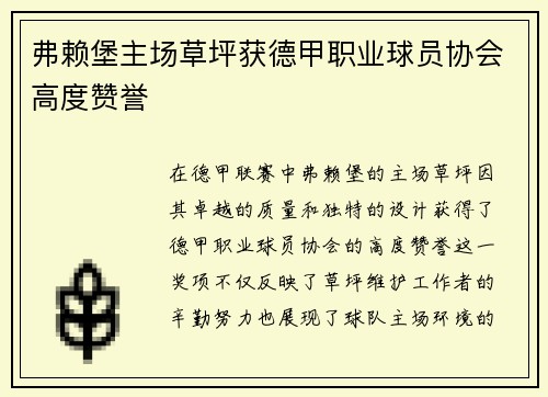 弗赖堡主场草坪获德甲职业球员协会高度赞誉